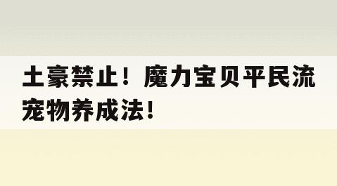 土豪禁止！魔力宝贝平民流宠物养成法！